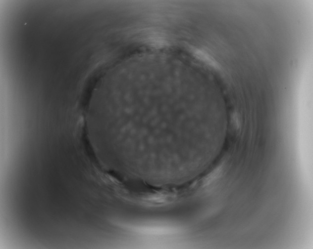 X0000088481302200706051353