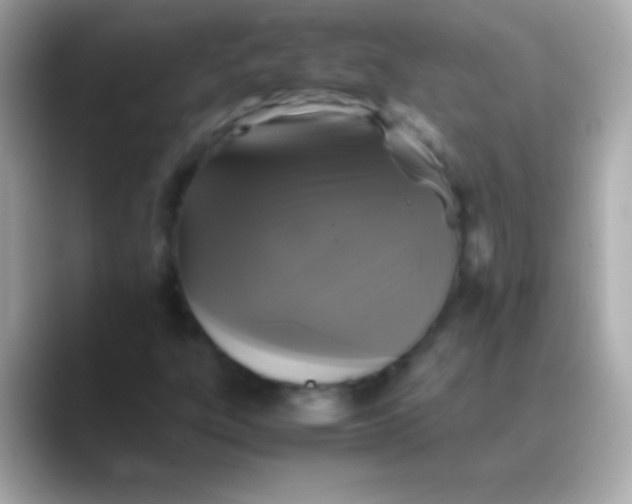 X0000088481303200706051353
