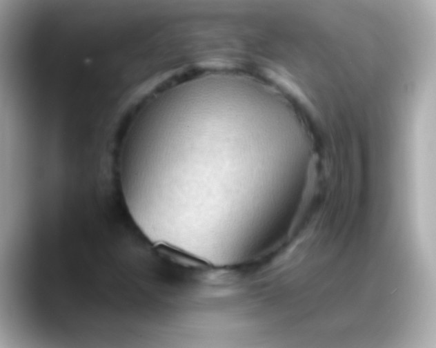 X0000088481304200706051353