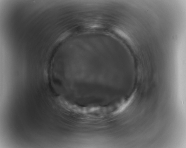 X0000088481305200706051353