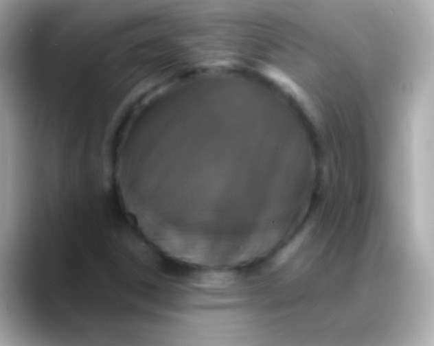 X0000088481306200706051353