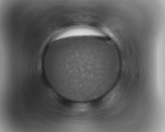 X0000088481307200706051353