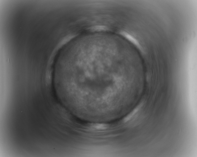 X0000088481309200706051353