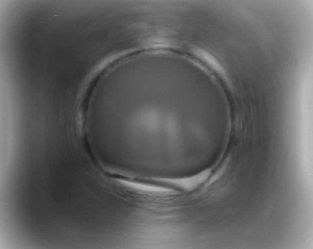 X0000088481310200706051353