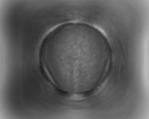 X0000088481311200706051353