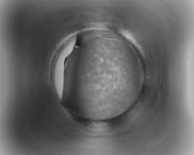 X0000088481312200706051353