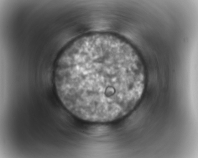X0000088481314200706051353