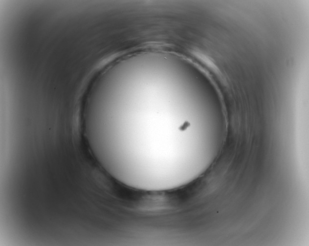 X0000088481315200706051353