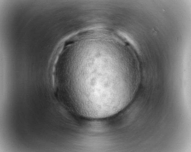 X0000088481316200706051353