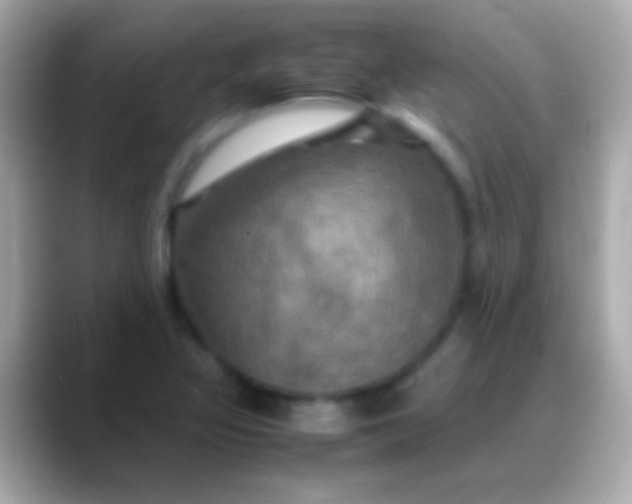 X0000088481317200706051353
