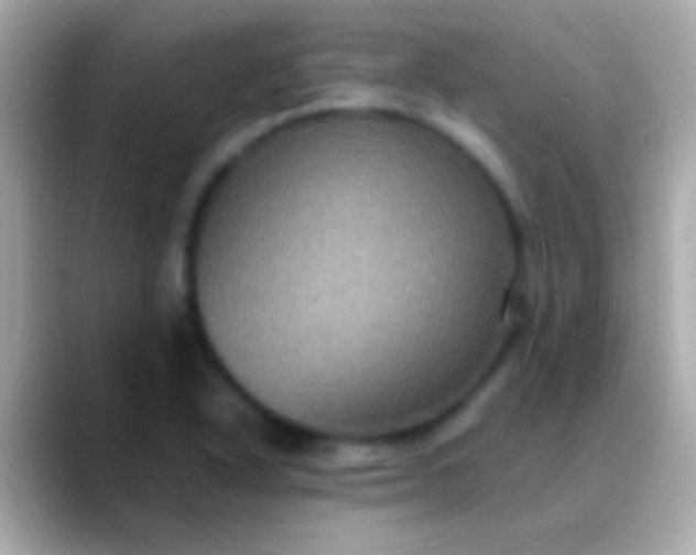 X0000088481318200706051353