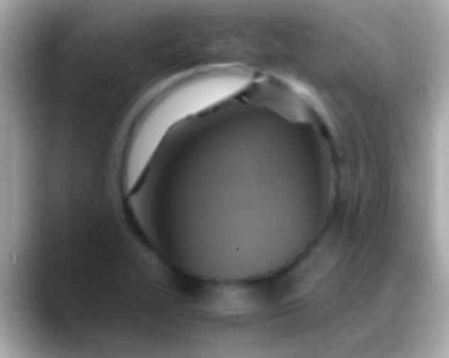 X0000088481319200706051353