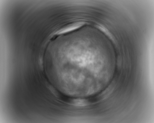 X0000088481321200706051353
