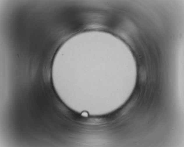 X0000088481322200706051353