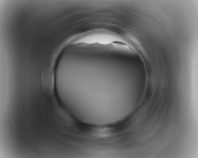 X0000088481323200706051353