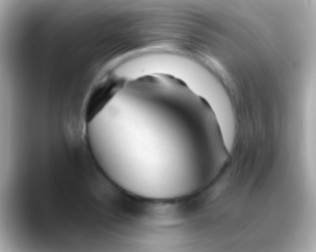 X0000088481324200706051353
