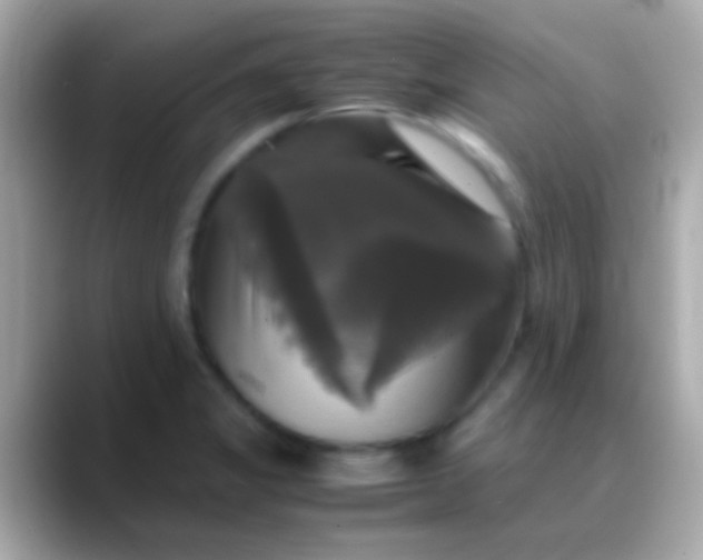 X0000088481325200706051353