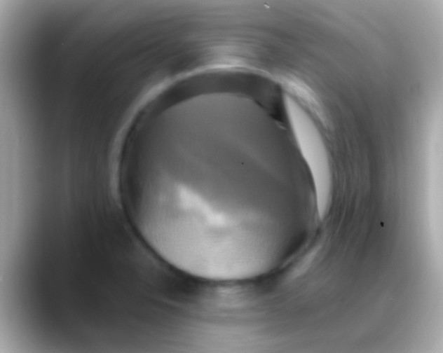 X0000088481326200706051353