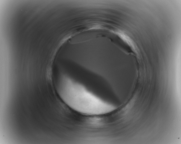 X0000088481329200706051353