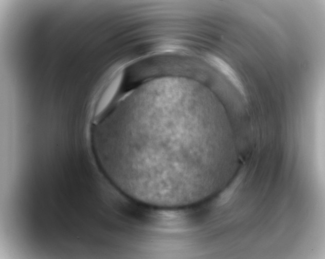 X0000088481330200706051353
