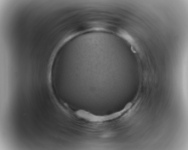 X0000088481331200706051353