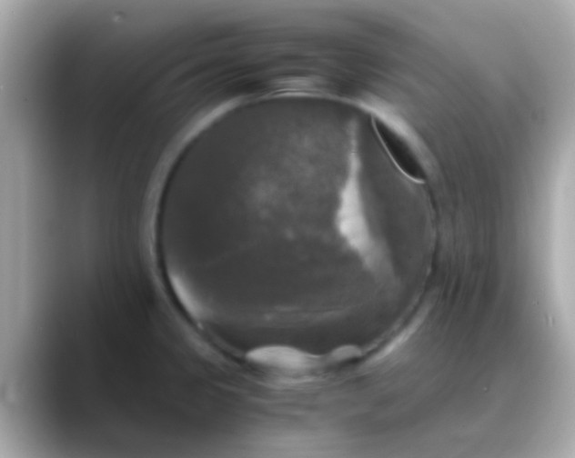 X0000088481333200706051353