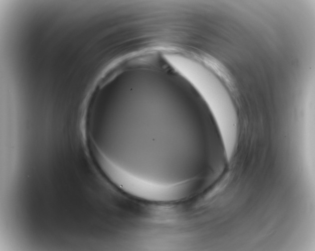 X0000088481334200706051353
