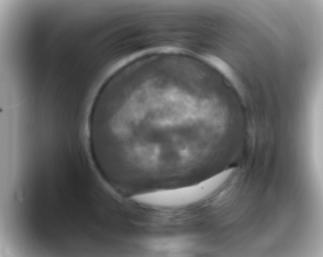 X0000088481335200706051353
