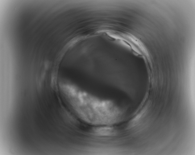 X0000088481337200706051353
