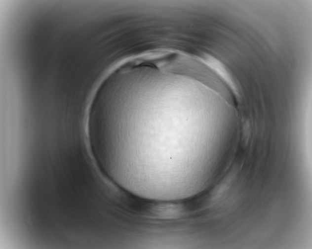 X0000088481339200706051353