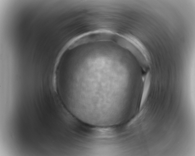X0000088481340200706051353