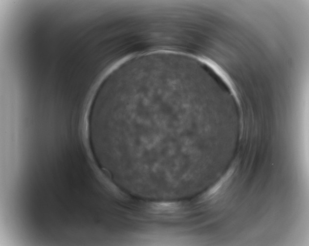 X0000088481341200706051353