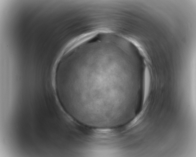 X0000088481342200706051353