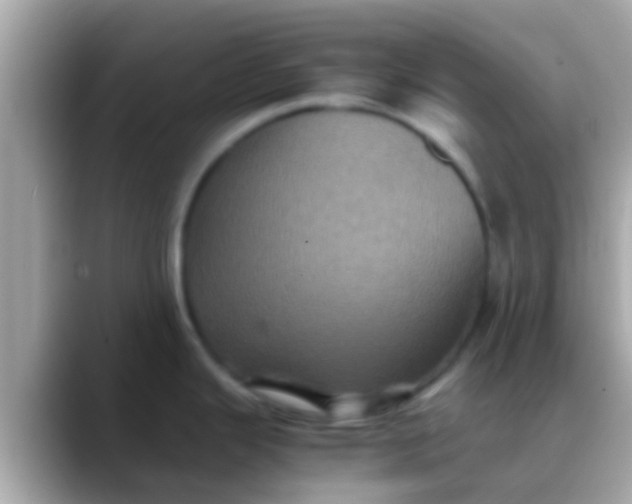 X0000088481343200706051353