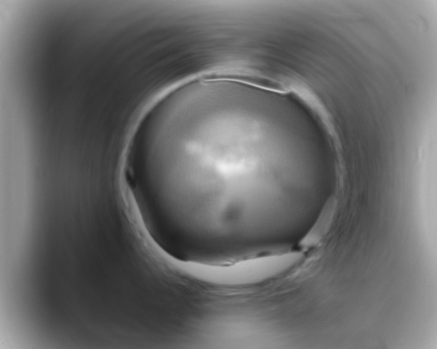 X0000088481344200706051353