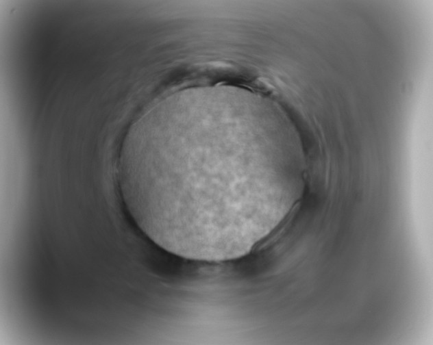 X0000088481345200706051353