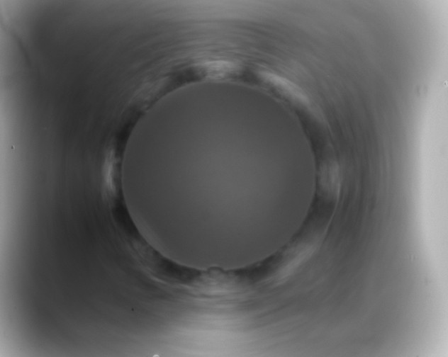 X0000088481346200706051353