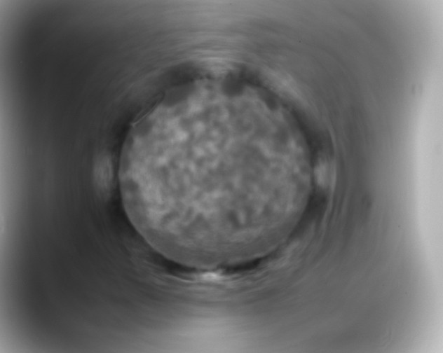 X0000088481347200706051353