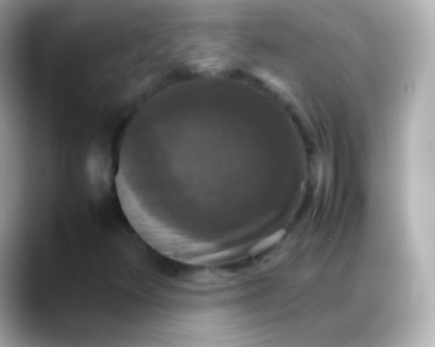 X0000088481348200706051353