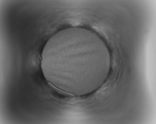 X0000088481349200706051353