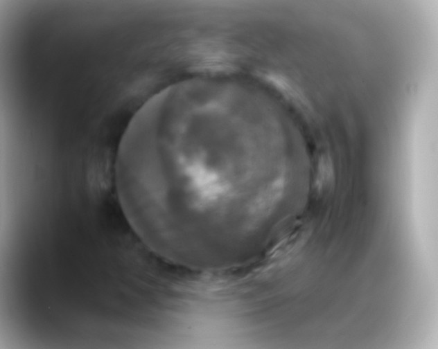 X0000088481350200706051353