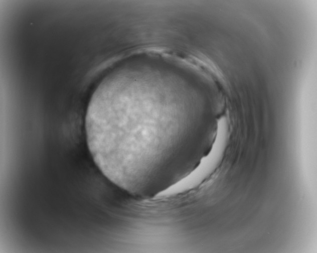 X0000088481352200706051353