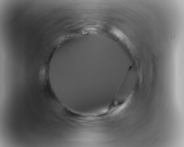 X0000088481353200706051353