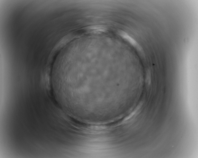 X0000088481354200706051353