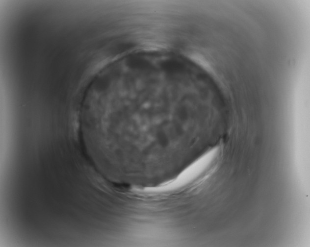 X0000088481355200706051353
