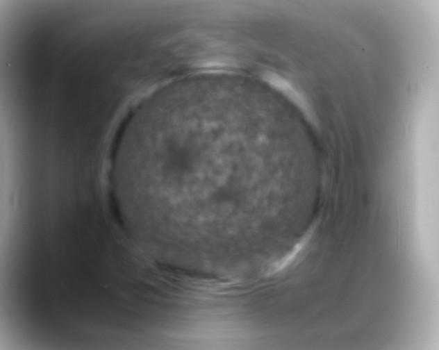 X0000088481357200706051353