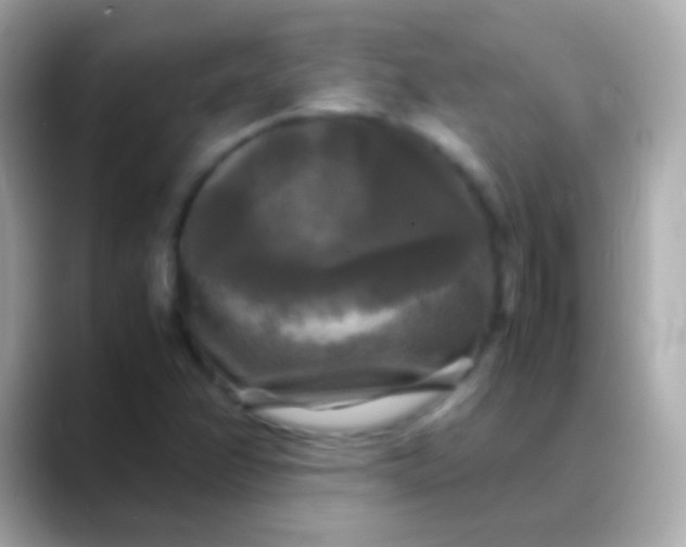 X0000088481358200706051353
