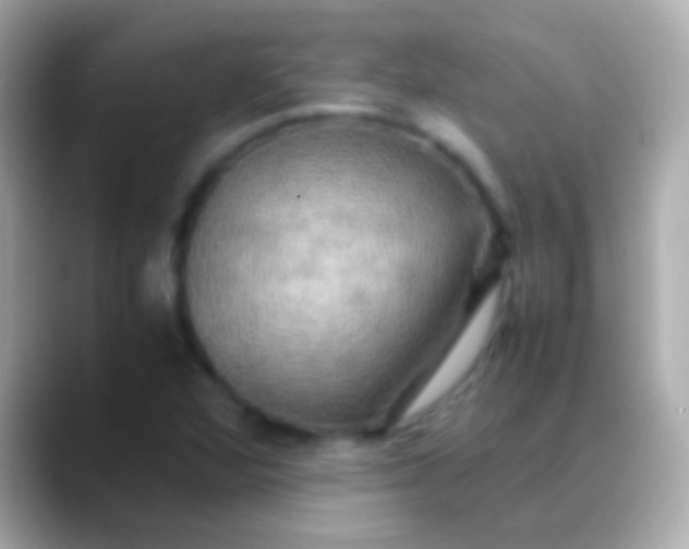 X0000088481360200706051353