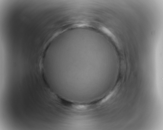 X0000088481361200706051353