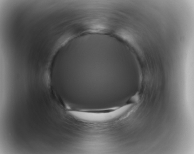 X0000088481362200706051353